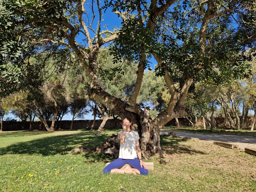 Restorative Breathwork_Corinna Mandler_Atemcoach_Funktionale Atmung_3